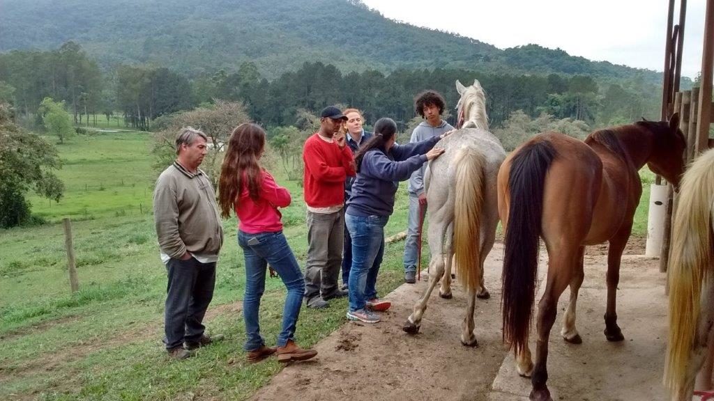 Fotos: Rafael Regatieri